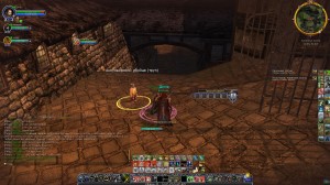 Сольник со странной подписью вверху, к чему бы это :)