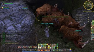 Мы с Дормиком на шашлыках