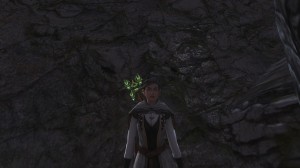 Лиса в новой шубке