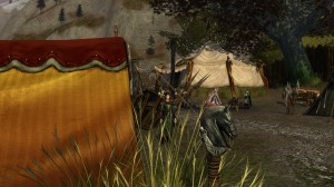 Лиса в разведке у конников