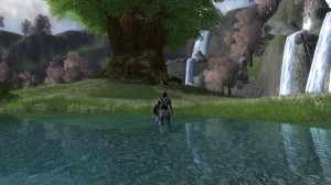 Зачетный баобаб